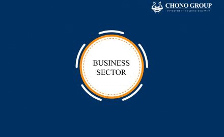 BUSINESS SECTOR
